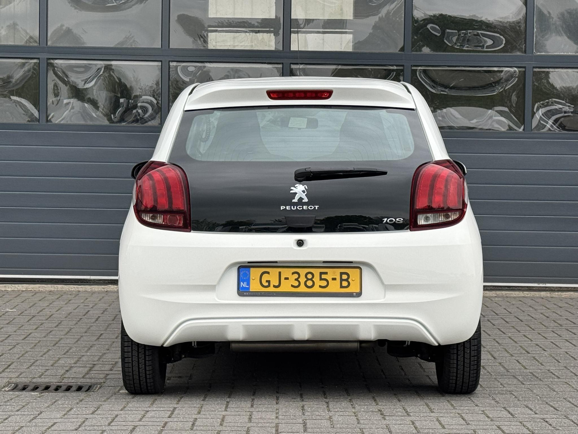 44398108-15.jpg